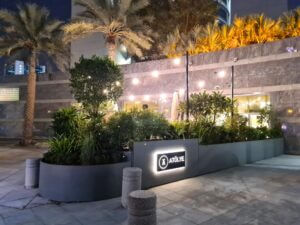 Outdoor landscaping by Cultivate UAE company