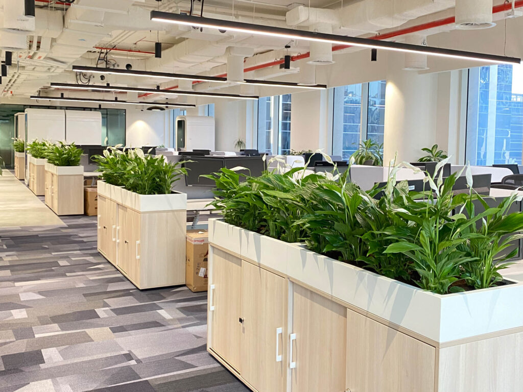 Indoor plantscape by Cultivate UAE for Pepsi