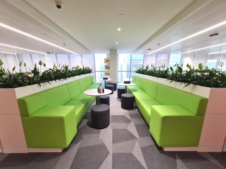 Interior landscaping by Cultivate UAE at IFFCO JLT office