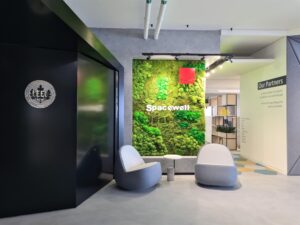 Moss wall installation for Spacewell in the UAE