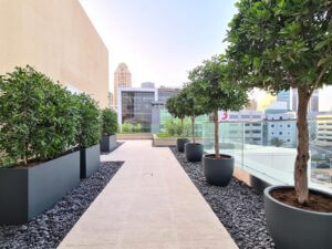 Landscaping project for Facebook DIC