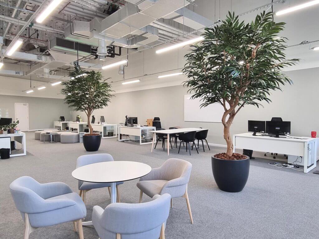 Artificial trees in grey planters in the office