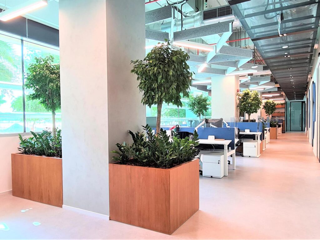 Live and artificial plants for IFF-Science Park