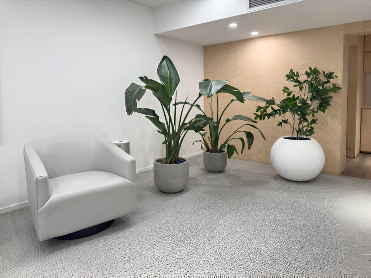 Indoor Plants