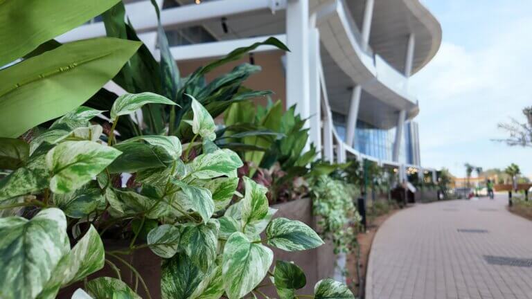 Outdoor Green Design Outdoor Green Design