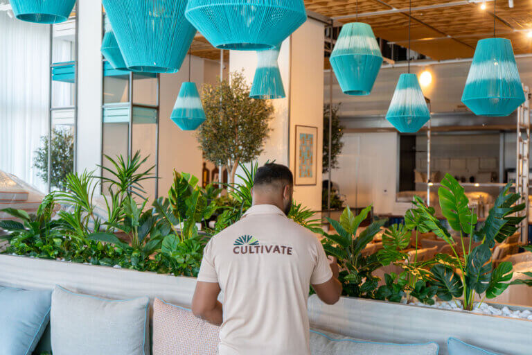 Landscape Maintenance Landscape Maintenance
