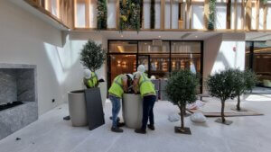 Blog 2_Landscape Maintenance Dubai Landscape Maintenance