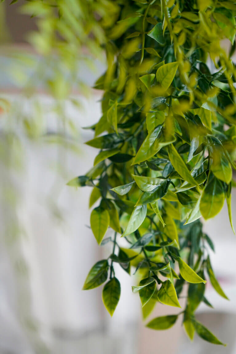 Blog 3_Artificial Plants Dubai Artificial plant