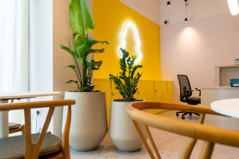 _DSC7257 Cultivate | Office Landscaping Dubai: Why Employee Experience Starts with Workspace Environment