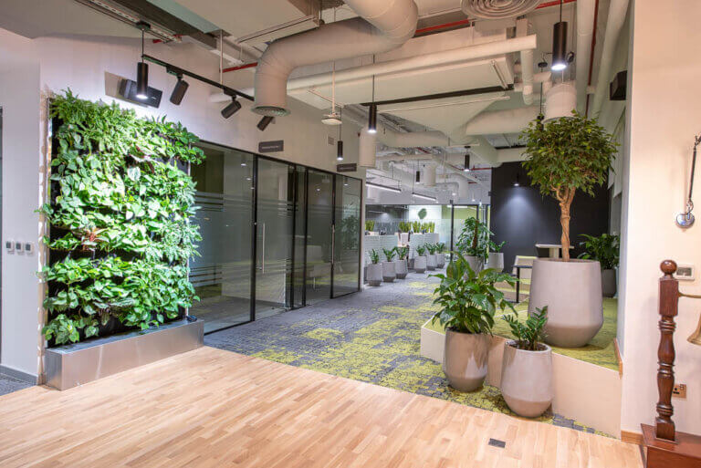 Green Walls Green Walls