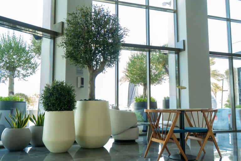 _DSC7399 Cultivate | How Indoor Landscaping Affects Tenant Retention in UAE Commercial Properties