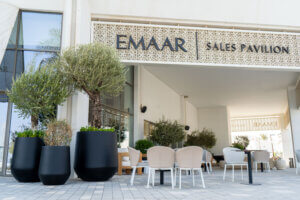 cooler season plant maintenance UAE