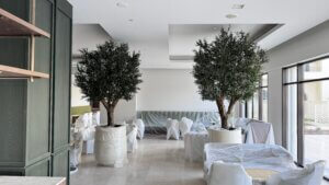 hotel renovation indoor plants UAE